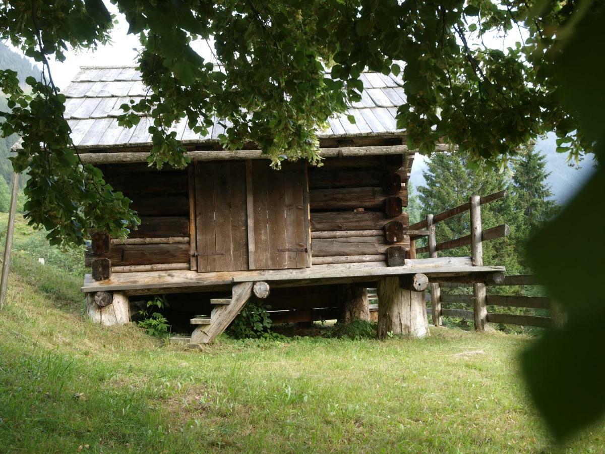 Biobauernhof Spieszschweiger Villa Sankt Nikolai im Sölktal Kültér fotó